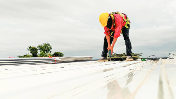 Best Roof Maintenance and Cleaning  in Belgium, WI